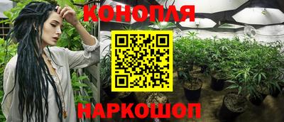 прущая мука Гай